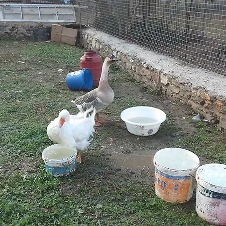 Vakantiehuis Xenios Zeus *